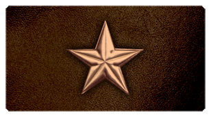 DSC700 430 BZ BR Star Bronze Brown